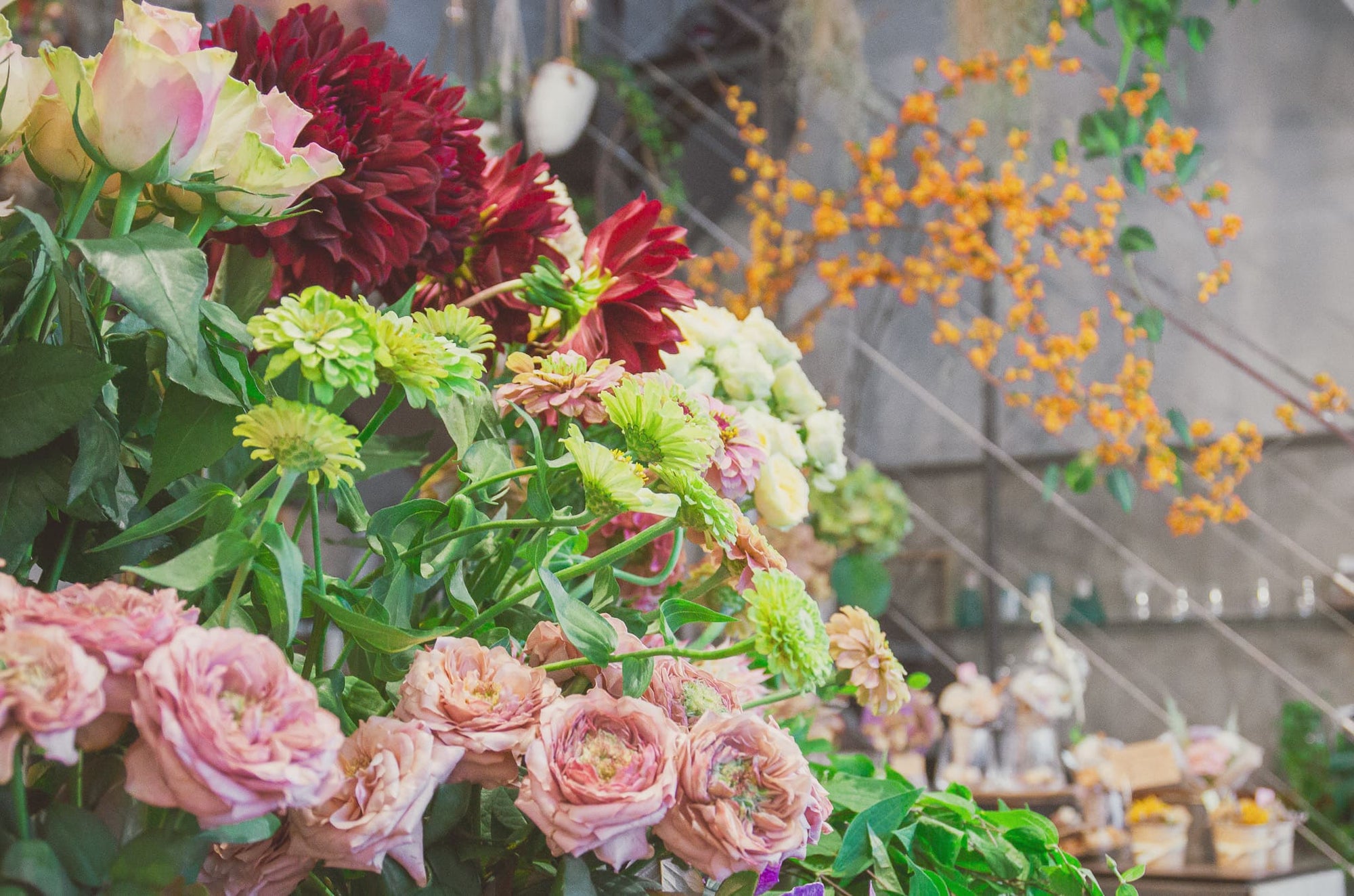 （仮）【2026年4〜6月の花材】ポピー、ラナンキュラス、ミモザなど