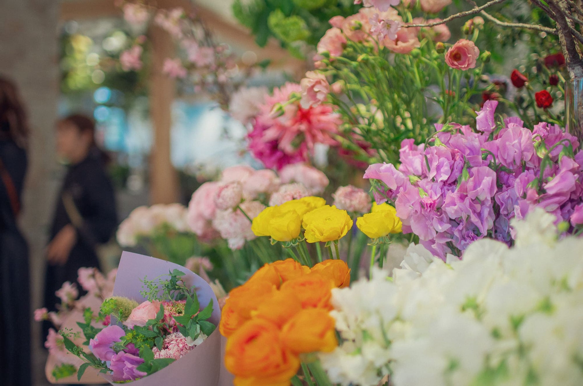 （仮）【2026年1〜3月の花材】ポピー、ラナンキュラス、ミモザなど