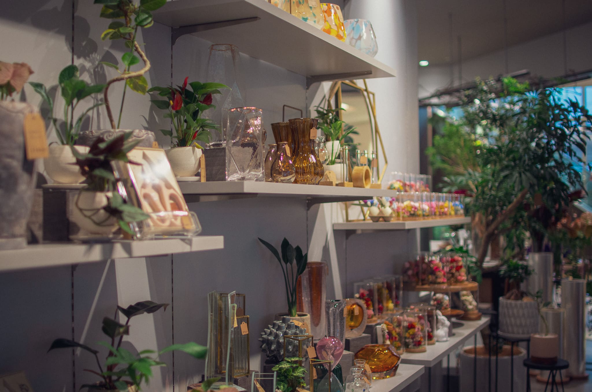 花Lab.Nocturne 羽沢横浜国大店 – 花Lab.Online store